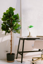 Fiddle Leaf Faux Tree 150cm