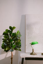 Fiddle Leaf Faux Tree 150cm