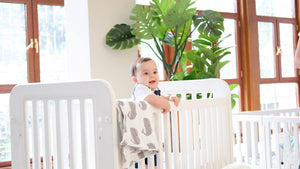 Adjustable Height Convertible Crib