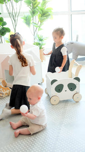 Panda 2-in-1 Push Trolley and Wagon