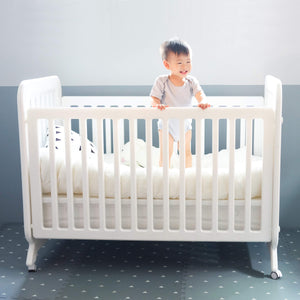 Bundle: Multi-level Convertible Crib & Premium Mattress