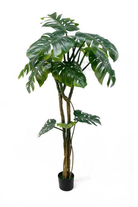 Bonjour Monstera Artificial Plant Faux Tree 180cm