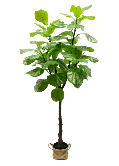 Bonjour Fiddle Leaf Artificial Plant Faux Tree 180cm