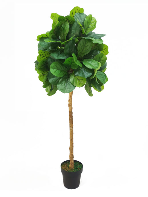 Bonjour Fiddle Leaf Artificial Plant Faux Tree 150cm