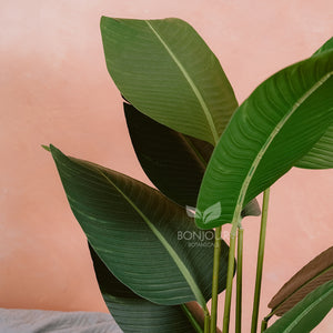 Bonjour Traveller's Palm Artificial Plant Faux Tree 120cm