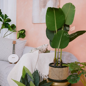 Bonjour Traveller's Palm Artificial Plant Faux Tree 120cm