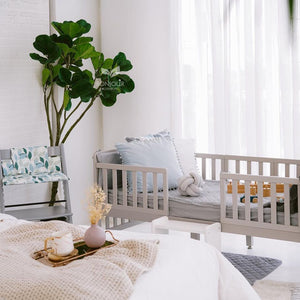 Bonjour Fiddle Leaf Artificial Plant Faux Tree 170cm